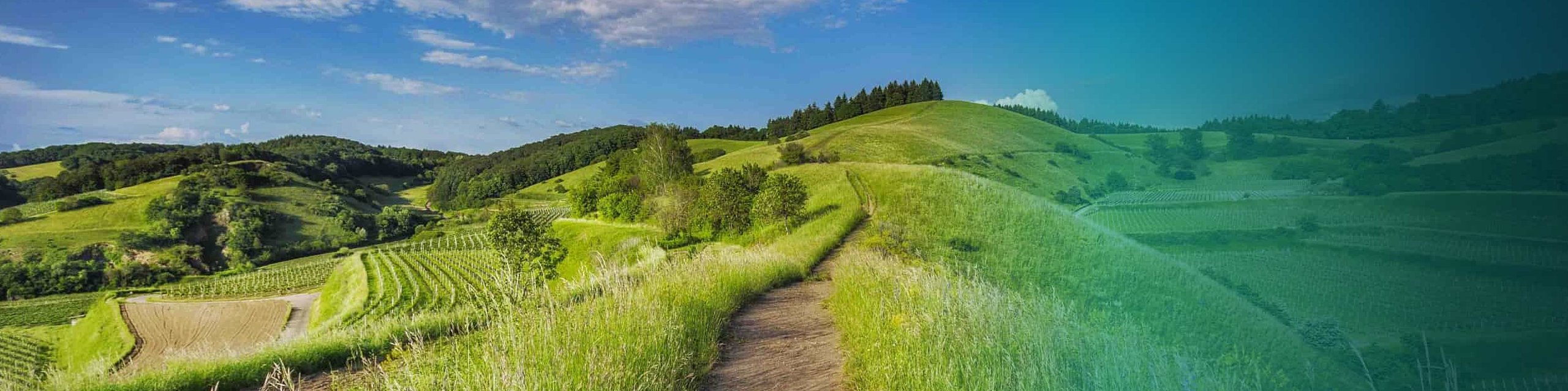 Unsere Verantwortung